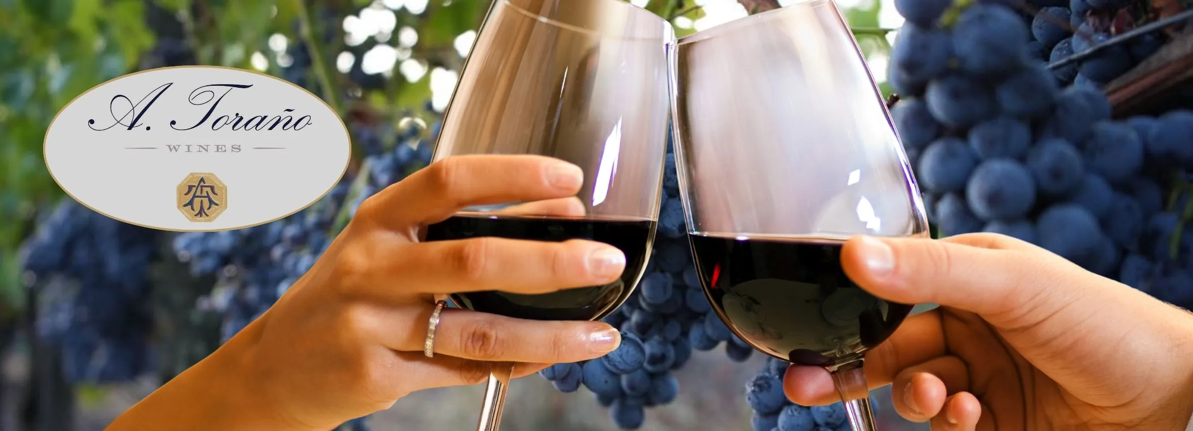 A.-Torano-Wines_Desktop_AZ