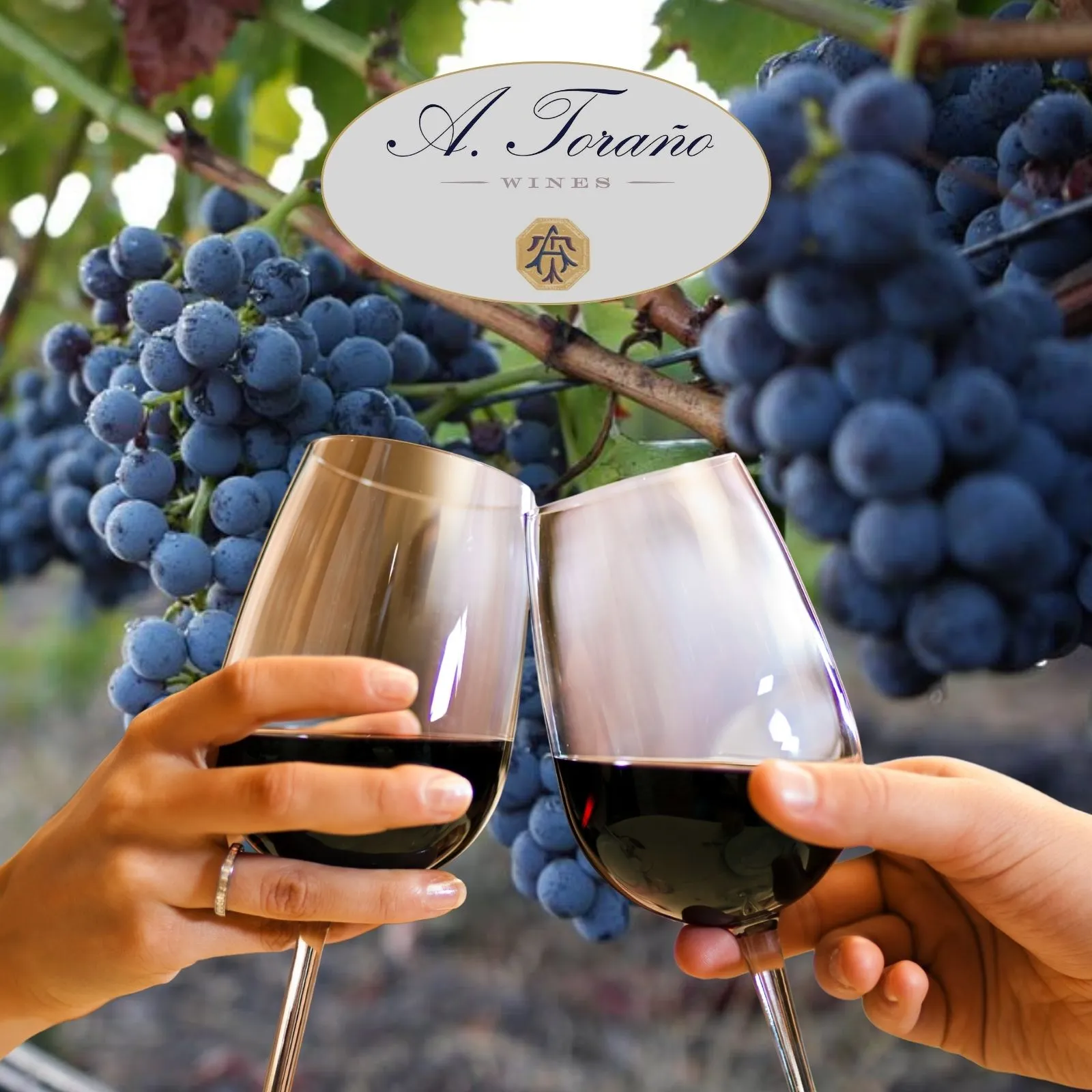 A.-Torano-Wines_Mobile_AZ