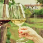 Clear-Creek-Vineyard-and-Winery_Mobile_AZ