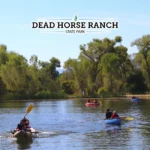 Dead-Horse-Ranch-State-Park_Mobile_AZ