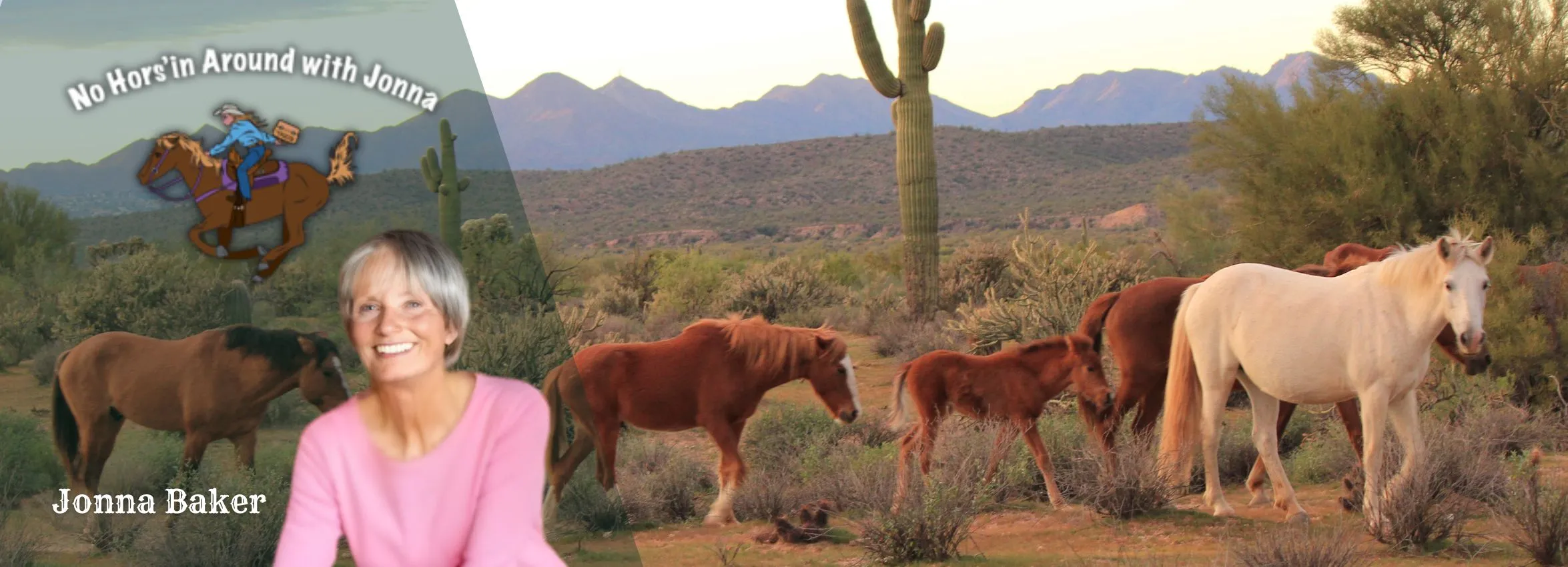 Jonna-Baker-and-Associates-Realty_Desktop_AZ