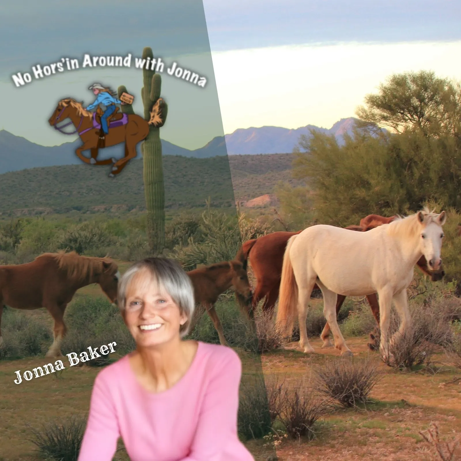 Jonna-Baker-and-Associates-Realty_Mobile_AZ