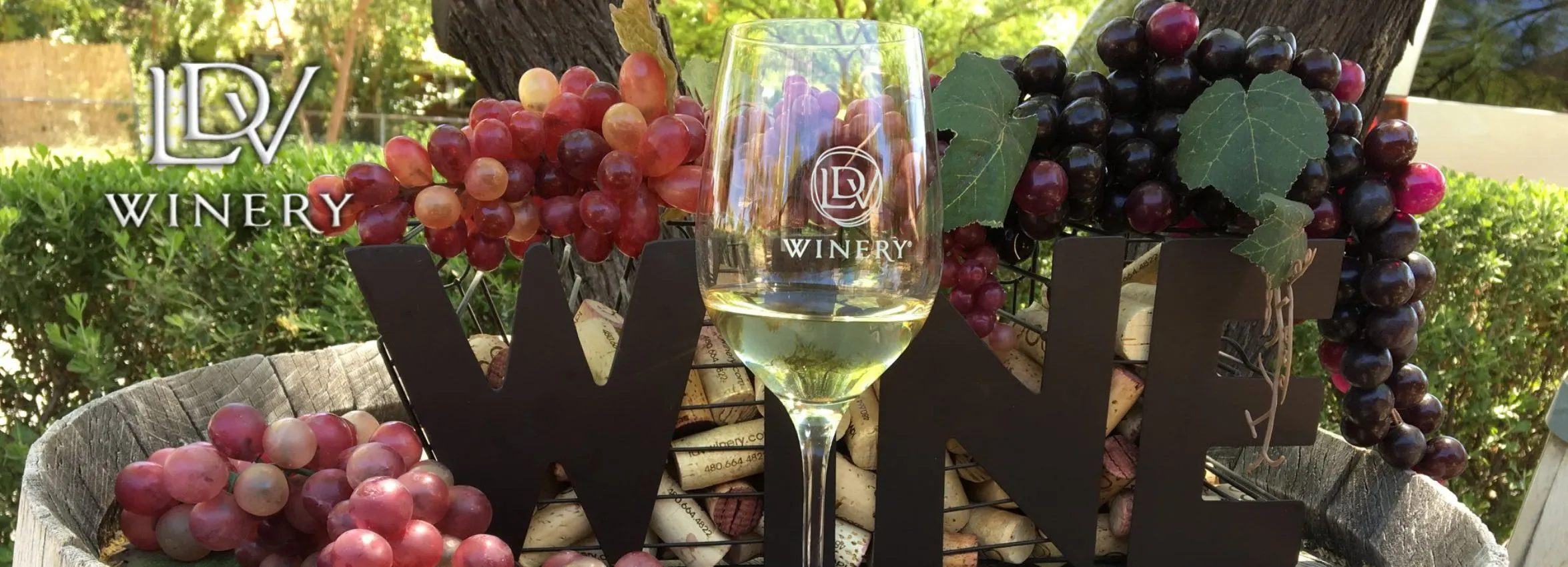 LDV-Winery_Desktop_AZ