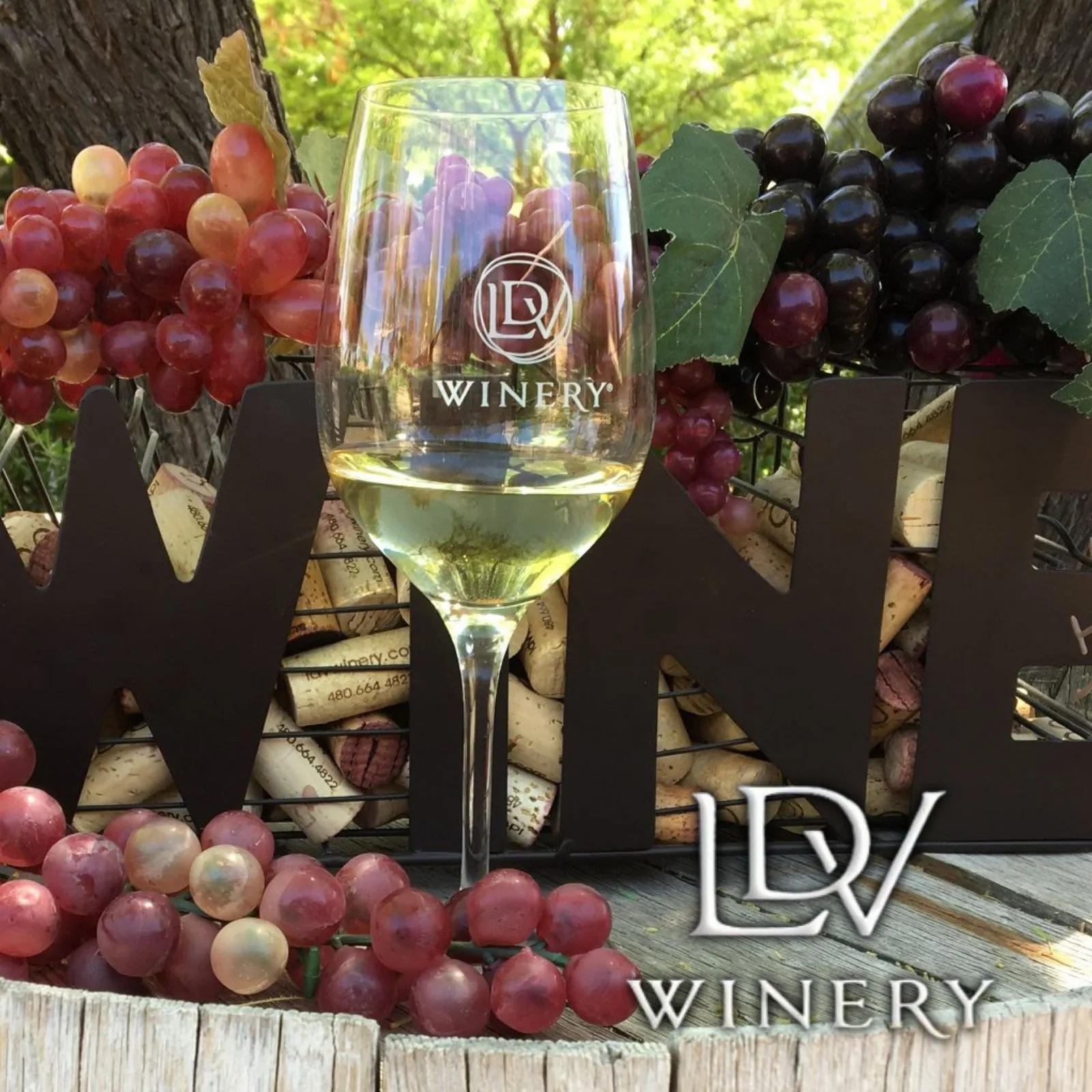 LDV-Winery_Mobile_AZ