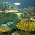 Odysea-Aquarium_Desktop_AZ