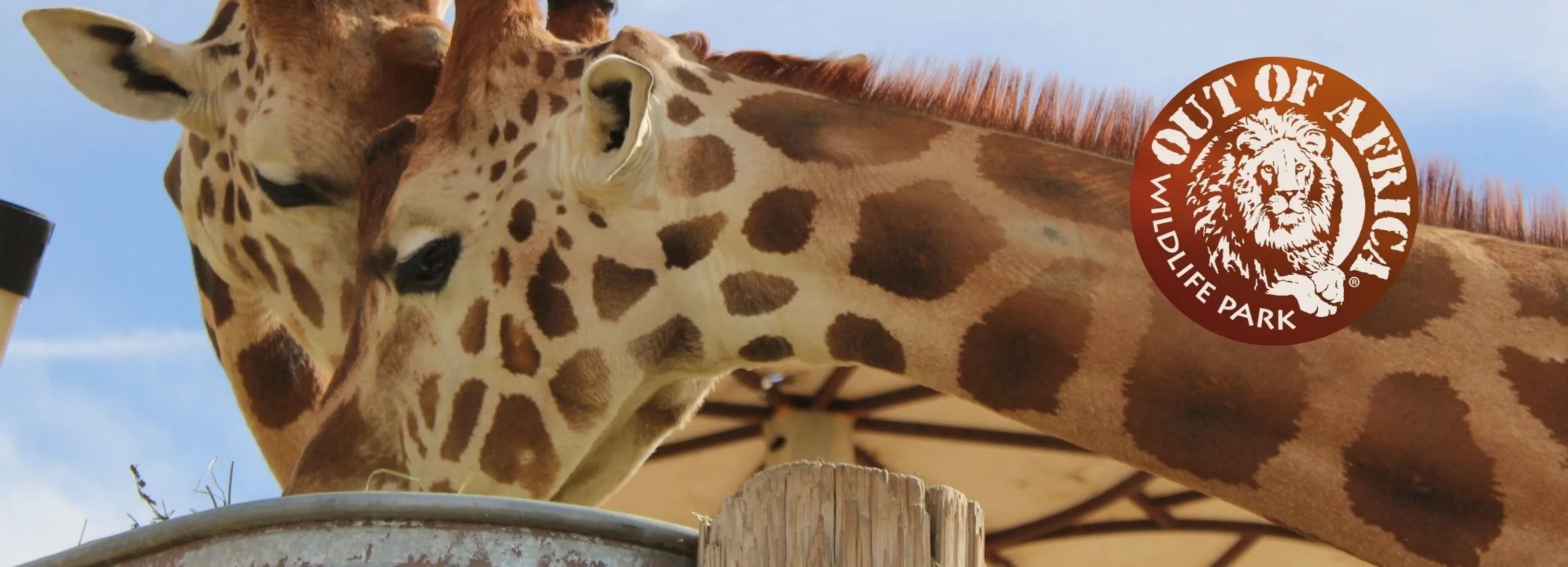 Out-of-Africa-Wildlife-Park_Desktop_AZ