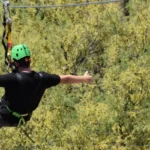 Preditor-Zip-Lines_Desktop_AZ