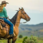 Wild-Western-Horseback-Adventures_Desktop_AZ