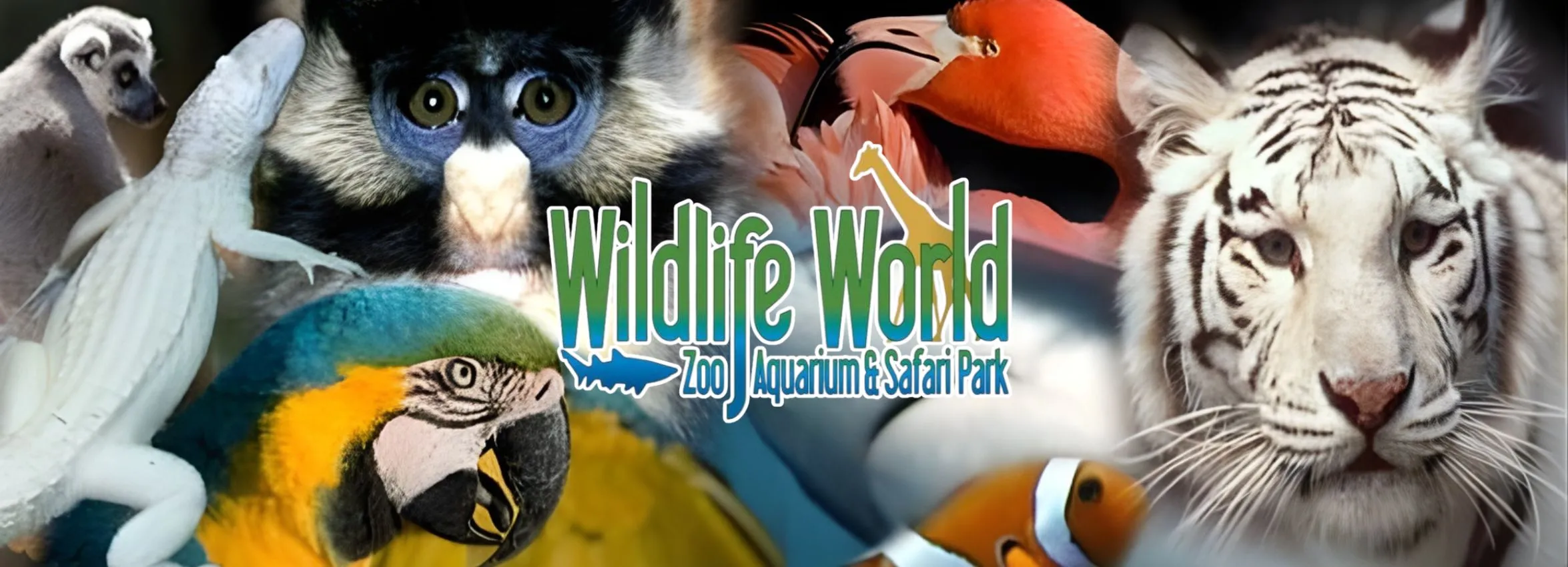 Wildlife-World-Zoo_Desktop_AZ