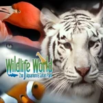 Wildlife-World-Zoo_Mobile_AZ