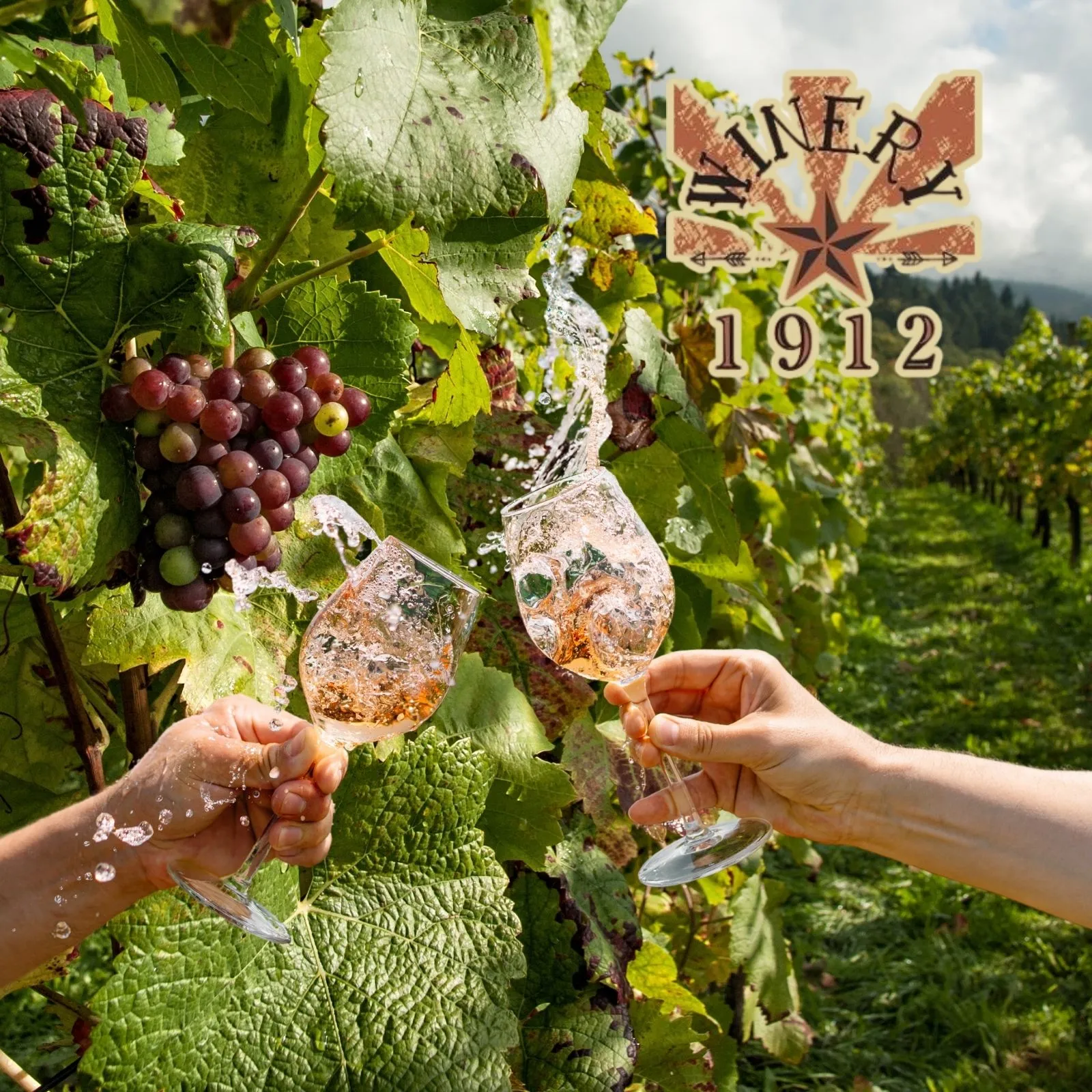 Winery-1912_Mobile_AZ